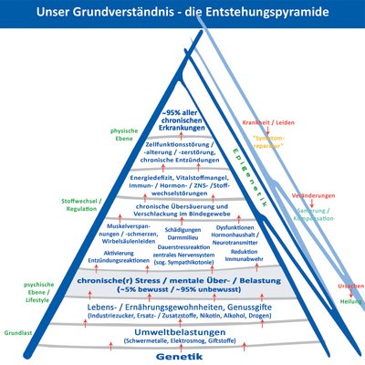 Die Entstehungspyramide des Naturheilzentrum Nürnberg